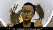 Crab Mentality ; Cara-cara Efektif Agar Tidak Menjadi Korban Crab Mentality No. 064 - Gilang Mbsnags #psikologi #gilangmbsnags #pengembangandiri #sirik #iri #dengki #mentalkepiting #staystrong