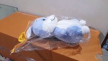 Unboxing and Review of Fun Zoo Honey Bunny Teddy Bear Plush Soft Toy Cute Kids