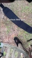 Taking Poking the Bear to the Next Level