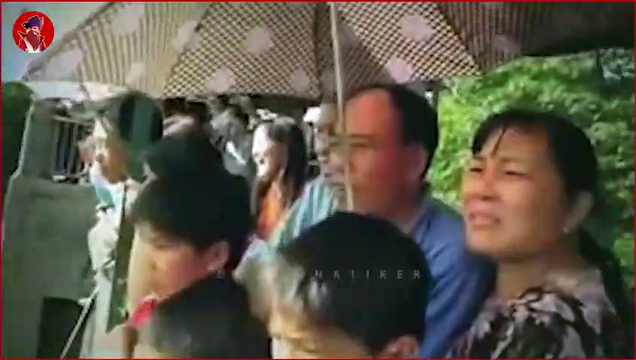 14 Unglaubliche Tigerkämpfe Auf Film Festgehalten