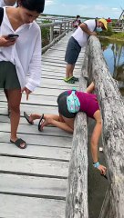 Ever Played Hide And Seek With A Crocodile?