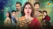 Meesni - Episode 83 - ( Bilal Qureshi, Mamia, Faiza Gilani ) 13th May 2023 - HUM TV