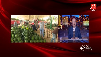 هل البطيخ والخوخ فيهم مشاكل وبيسببوا نزلة معوية؟.. د. محمد فهيم مستشار وزير الزراعة يوضح