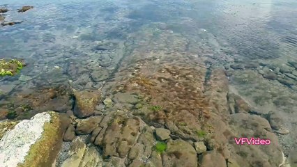 Karacaköy Beach, Şile