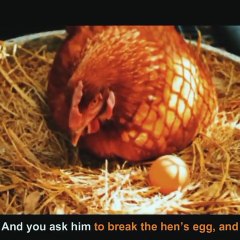 Who Is God? Best Introduction Of God By Muhammad Ali Mirza