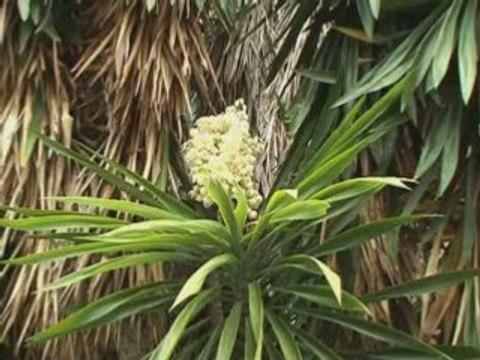 GRECE DIAPORAMA DE CORFOU