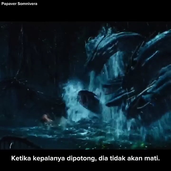 Hydra, hewan yang menentang konsep penuaan. #hewan #hydra #alam #unik