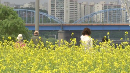 [날씨] 구름 많고 따뜻한 휴일...오후부터 내륙 '소나기' / YTN