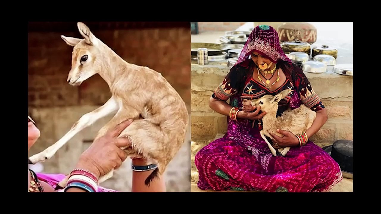 Lawrence Bishnoi's SECRET Plan to Ki__ Salman Khan