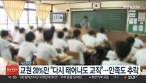 교원 20%만 