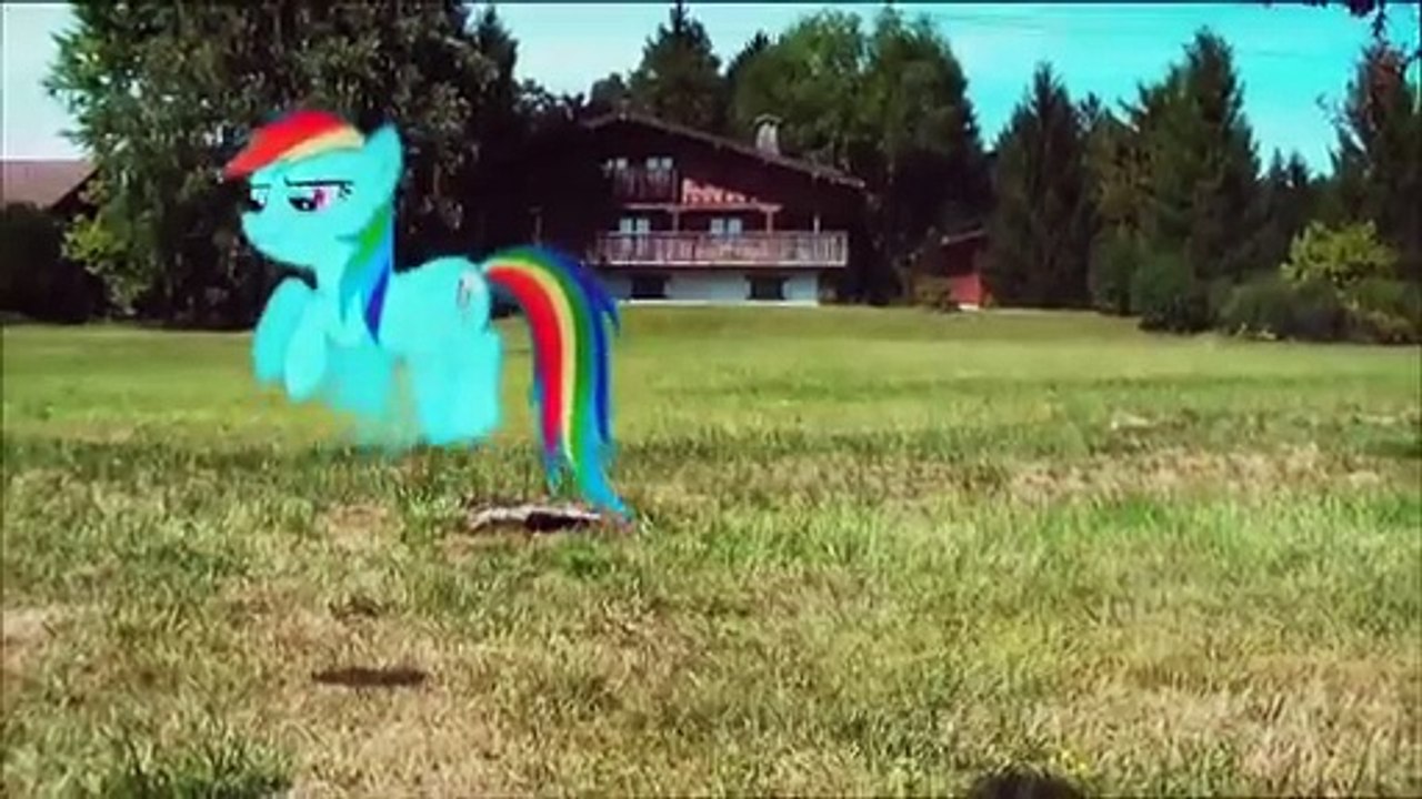 Applejack's Friendship Quest (MLP in real life)...