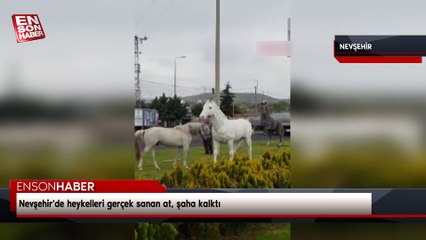 Nevşehir'de heykelleri gerçek sanan at, şaha kalktı