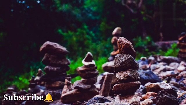 Rain-Nature-Bird I Best Relaxing Music I Amazon Rainforest Meditation For Stress Relief Music I