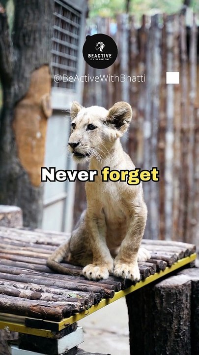 This short video is worth more than thousand words  #beactivewithbhatti #shorts #ytshorts #Shorts