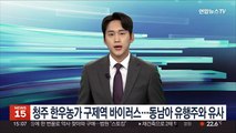 청주 한우농가 구제역 바이러스…동남아 유행주와 유사