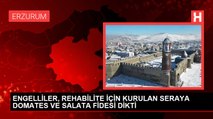 ENGELLİLER, REHABİLİTE İÇİN KURULAN SERAYA DOMATES VE SALATA FİDESİ DİKTİ