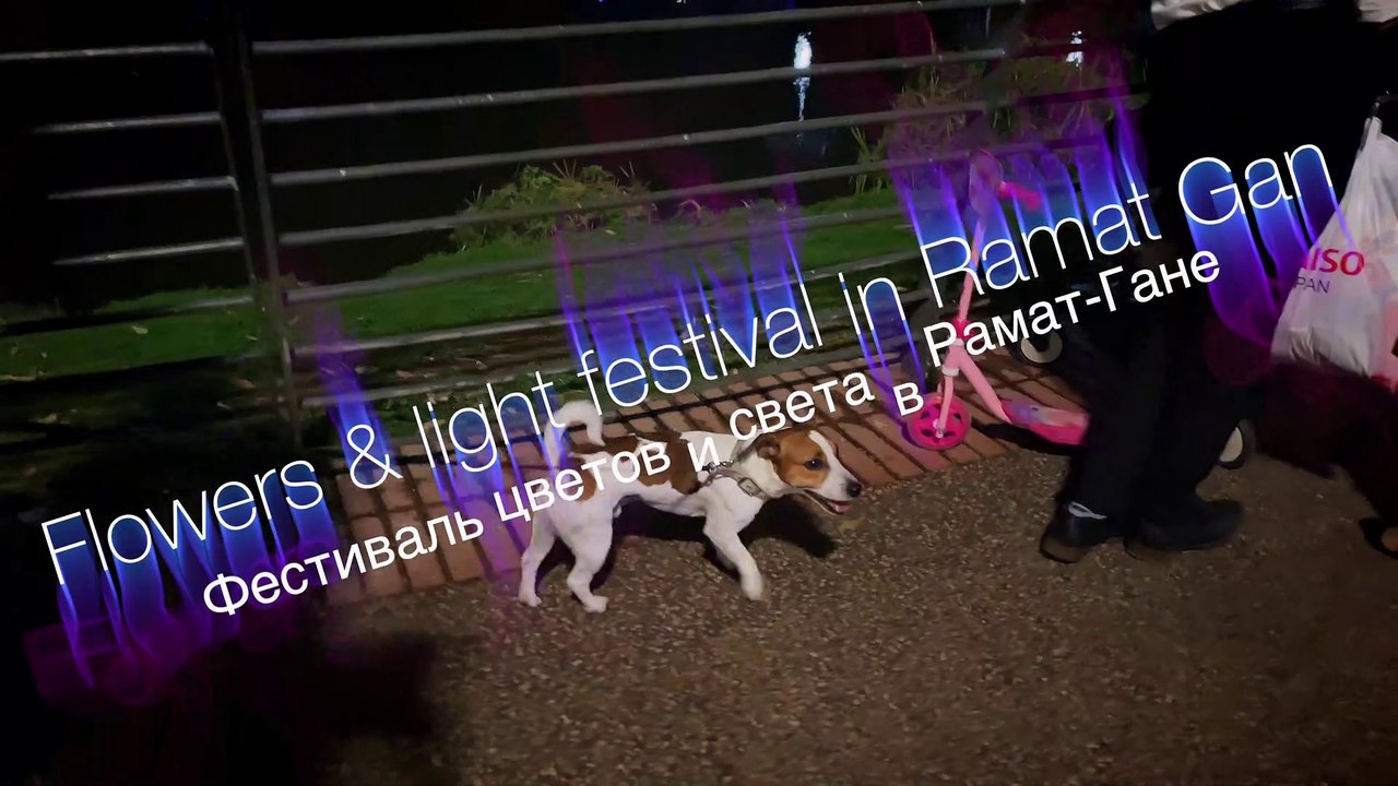 Иллюминация в парке Леуми, Рамат Ган