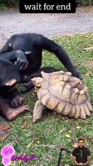 today so funny video - funny video - #youtubeshorts #funny #shorts #shortvideo #viral 1