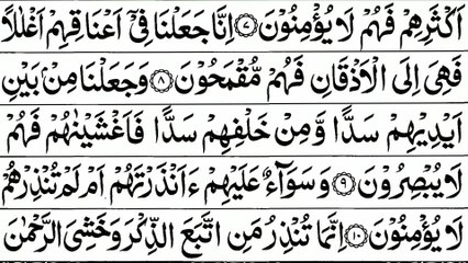 Surah Yasin Yaseen  Sheikh Abu Bakr Al Shatri  Al Quran Recitation With Arabic Text_1080p