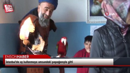 İstanbul'da oy kullanmaya omzundaki papağanıyla gitti