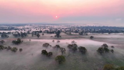 Çin'de Sisin Örttüğü Wusuli Nehri Benzersiz Bir Manzara Oluşturuyor