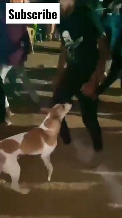 Dance With Doggy Funny, like, share ,comment, subscribe please