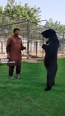 Kalu madari Aya .kala apna bhalu laya