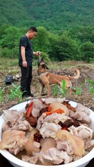 How to Teach your Dog to Stay in 3 Steps Force Free #Dog #viral  #dogtriaing