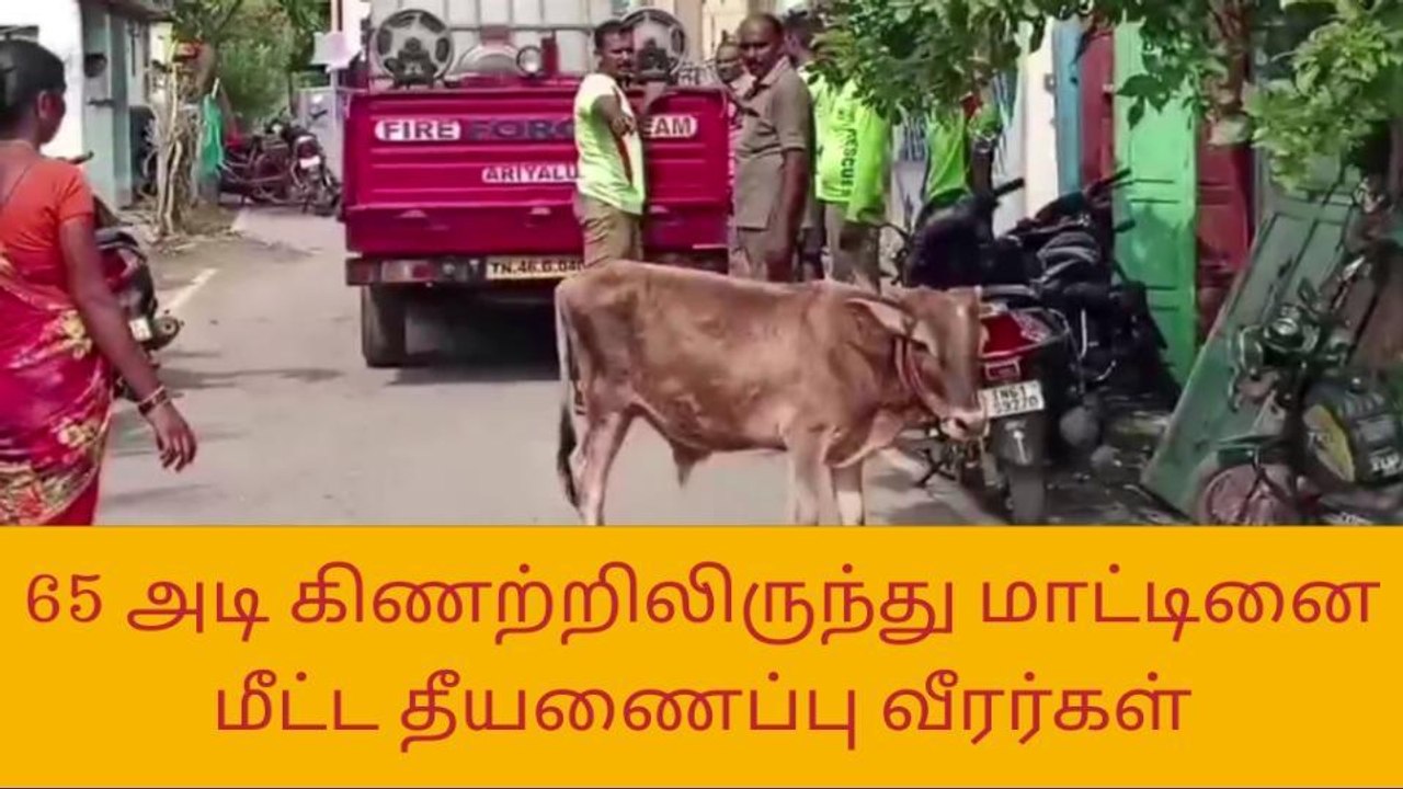 அரியலூர்:கிணற்றில் விழுந்த மாட்டினை உயிருடன் மீட்ட தீயணைப்பு வீரர்கள்!