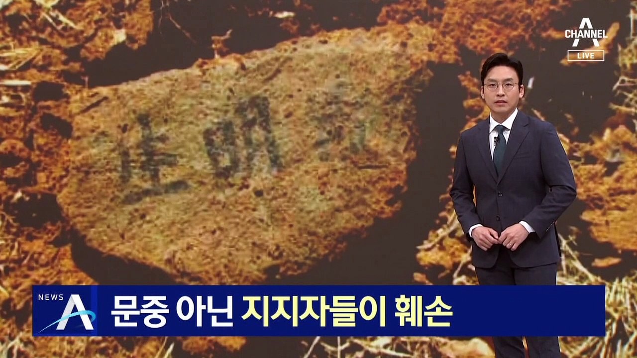 ‘이재명 부모 묘소’ 문중 아닌 지지자들이 훼손