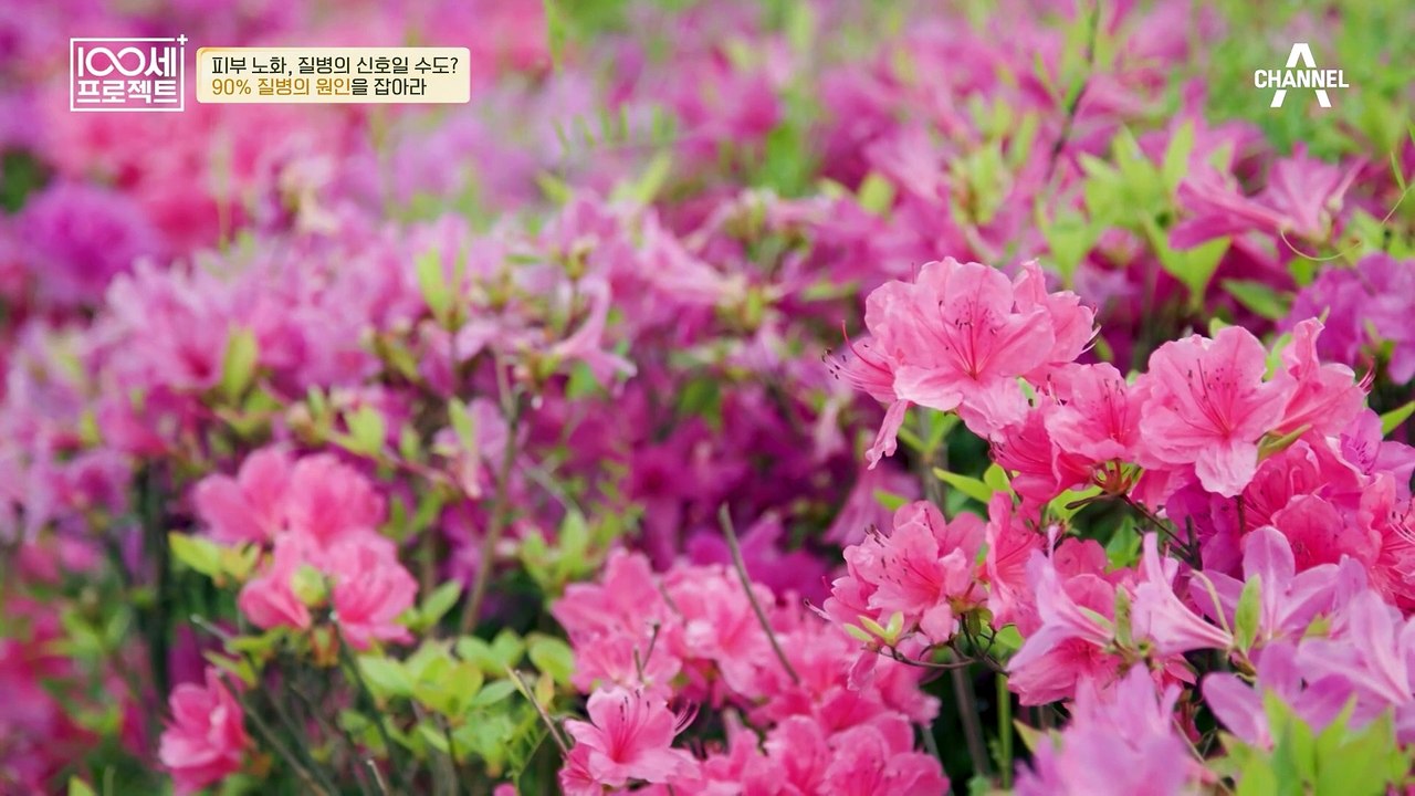 나이가 들어가며 한 해마다 늙어가는 내 피부(ㅠ_ㅠ) 일상에서 찾는 피부 노화의 원인!