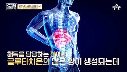효율적으로 항산화 관리를 할 수 있는 식품! 천연 항산화제 ▶글루타치온◀