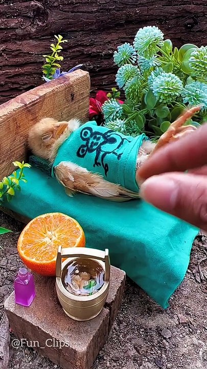 Best Funny Videos | New Chinese Funny Video | try not to laugh #short #Funny #Comedy