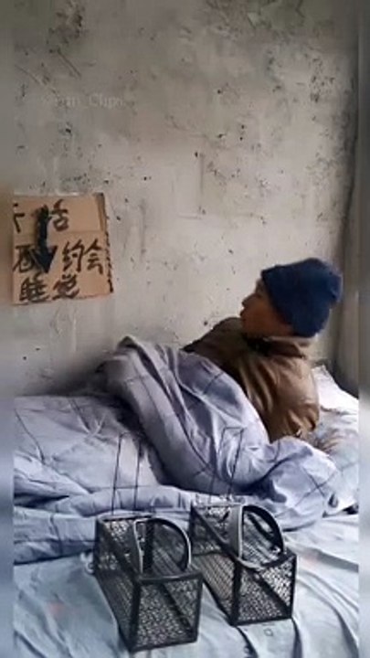 Best Funny Videos | New Chinese Funny Video | try not to laugh #short #Funny #Comedy