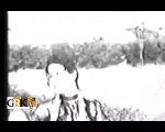 LE KE ANKHON MEIN LAKHON SALAM | NAHEED NIAZI n SALEEM RAZA | FILM TEEN PHOOL | 1961