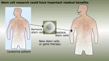 Stem Cells and Gene Therapy