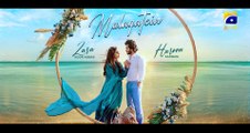 Mulaqatein | Jhoom OST | Ft Zara Noor Abbas Haroon Kadwani | 7th Sky Entertainment