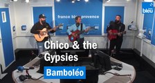 Bamboléo - Chico & The Gypsies (dans les studios de France Bleu Provence)