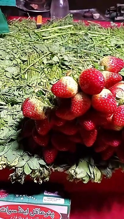 Strawberry kiwi fruit