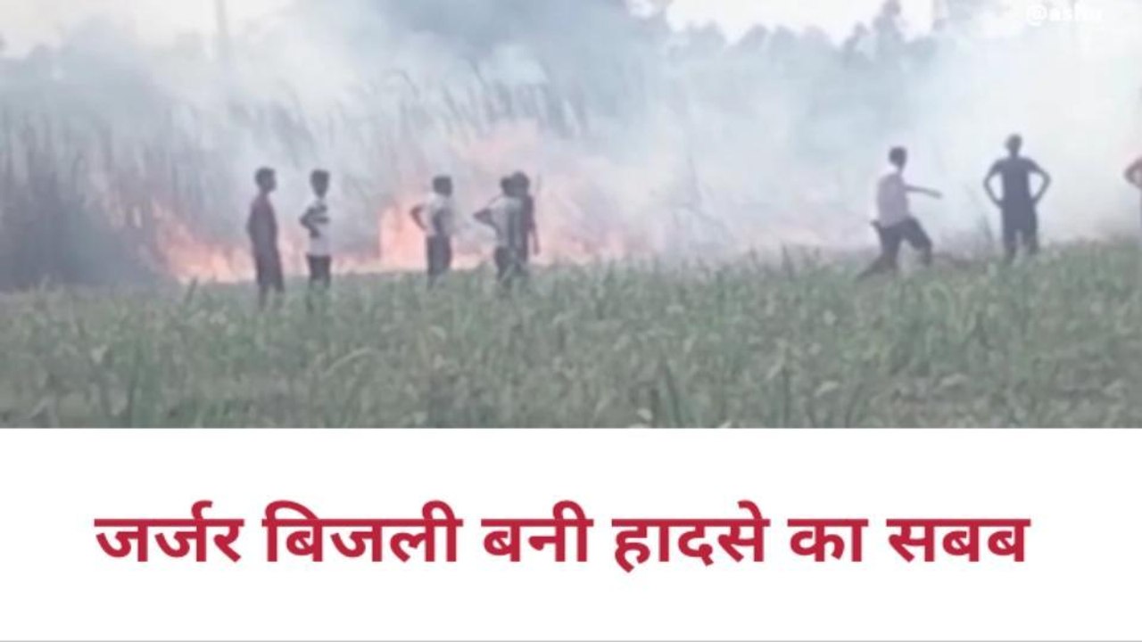 बिजनौर: बिजली की चिंगारी से किसान की सात बीघा गन्ने की फसल जली