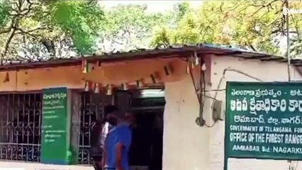 అచ్చంపేట: నల్లమల అడవిలో బైక్ రైడర్స్.. భారీ ఫైన్ వేసిన అధికారులు