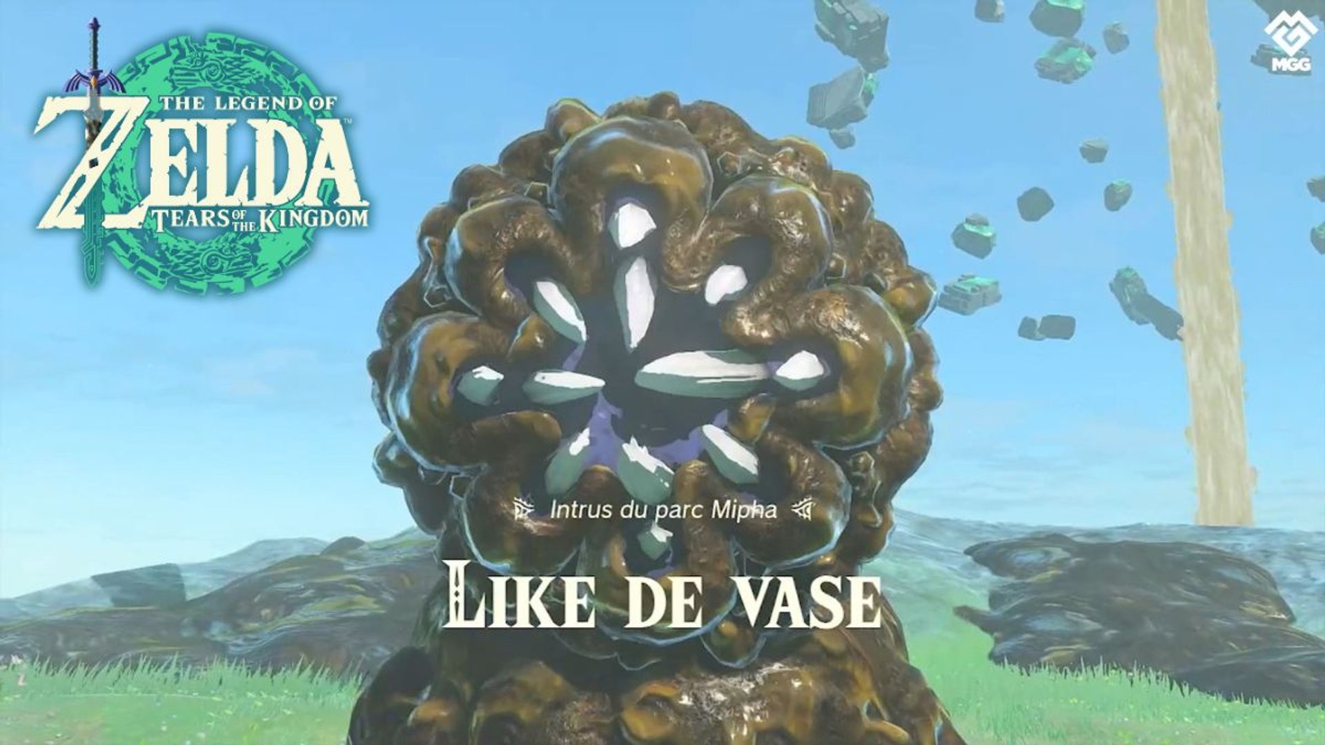 Like de Vase Zelda Tears of the Kingdom : Comment vaincre le boss ver de  terre du Domaine Zora ? - Vidéo Dailymotion
