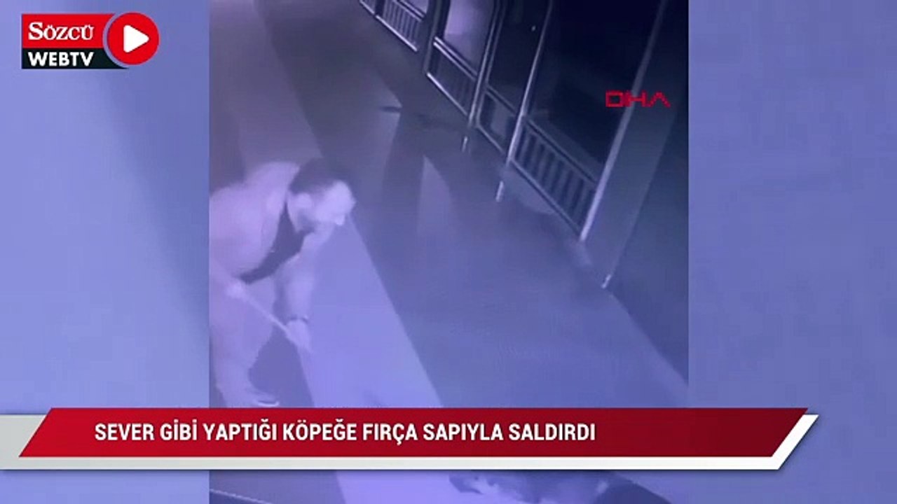 Sever gibi yaptığı köpeğe fırça sapıyla saldırdı