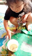 mirip mr crab kata felline