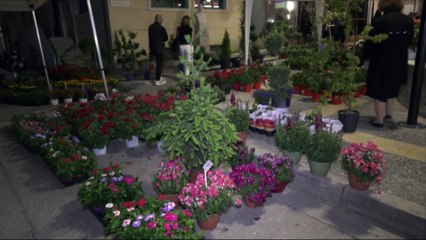 Έφερε την άνοιξη η 3η ανθοκομική έκθεση Σπερχειάδας