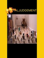 If he can do it, then I can too...  : IG | Captains_Adventure