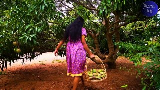 Tree full of violet mangoes, made me wants to make so many yummy Mango Treats! _ Rural Me