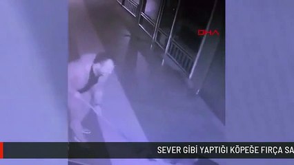 Sever gibi yaptığı köpeğe fırça sapıyla saldırdı: O anlar kameraya yansımıştı! Saldıran şüpheli serbest