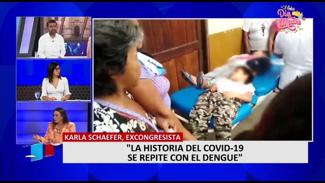 Karla Schaefer: Le advertimos a altos funcionarios del Gobierno sobre el brote del dengue