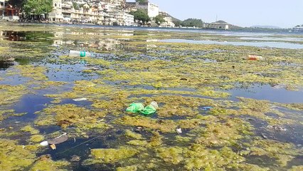 Video...घर की झीलें तो गंदी और लोगों के यहां कर रहे सफाई